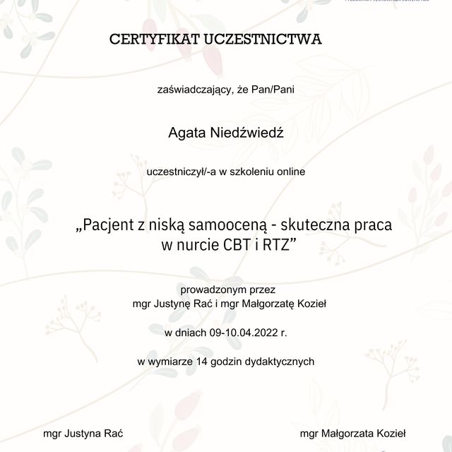 Powiększ obraz: certificate 11