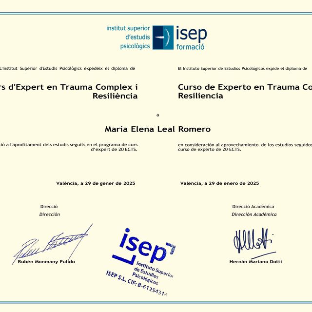 Acercar imagen: certificate 3