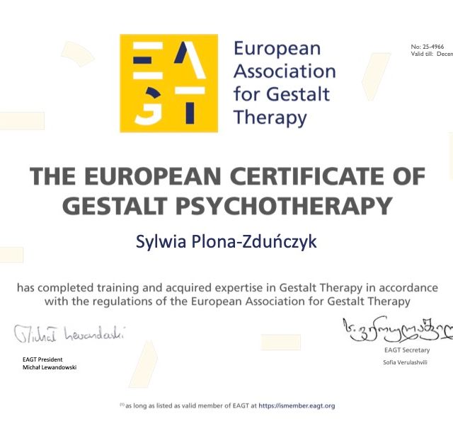 Powiększ obraz: certificate 2