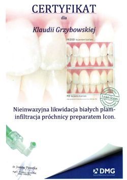 Powiększ obraz: certificate 7