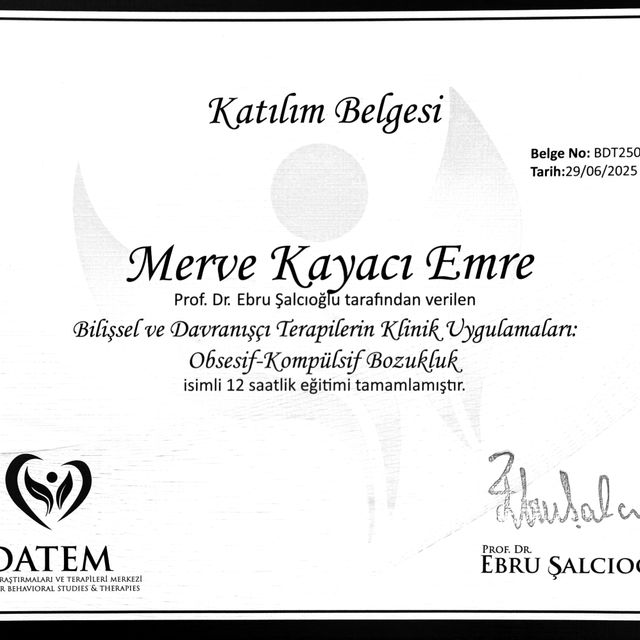 Resmi büyüt: certificate 10
