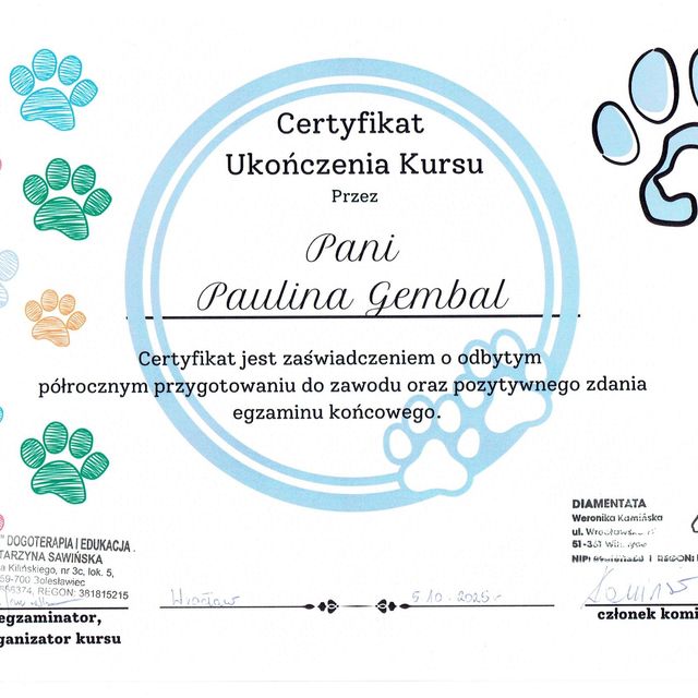 Powiększ obraz: certificate 1