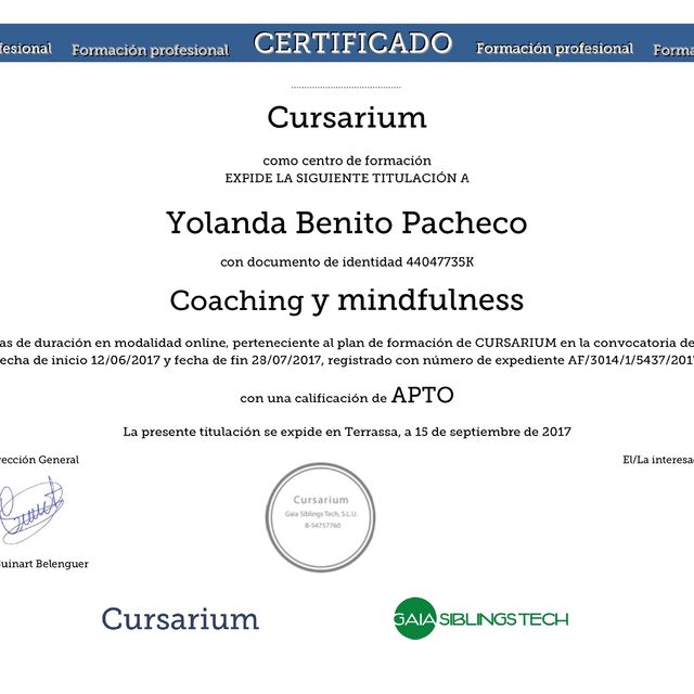 Acercar imagen: certificate 6