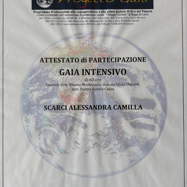Ingrandire l'immagine: certificate 3