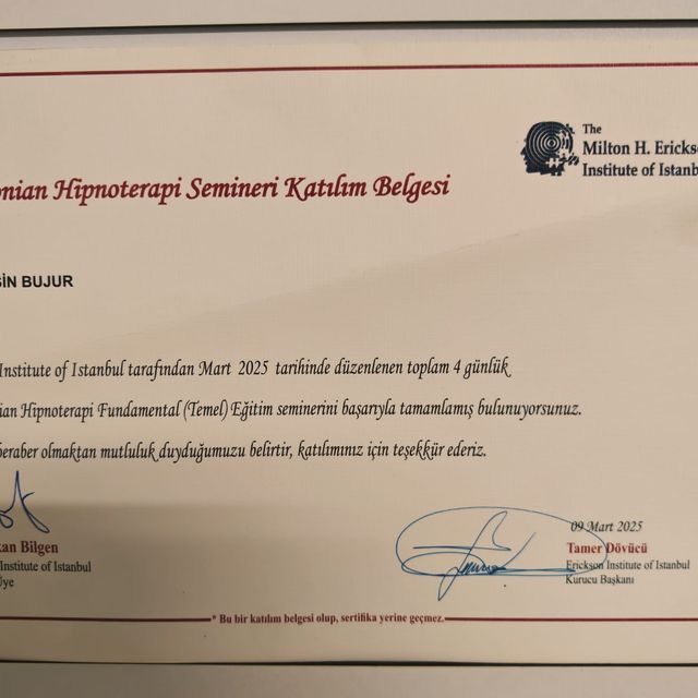 Resmi büyüt: certificate 8