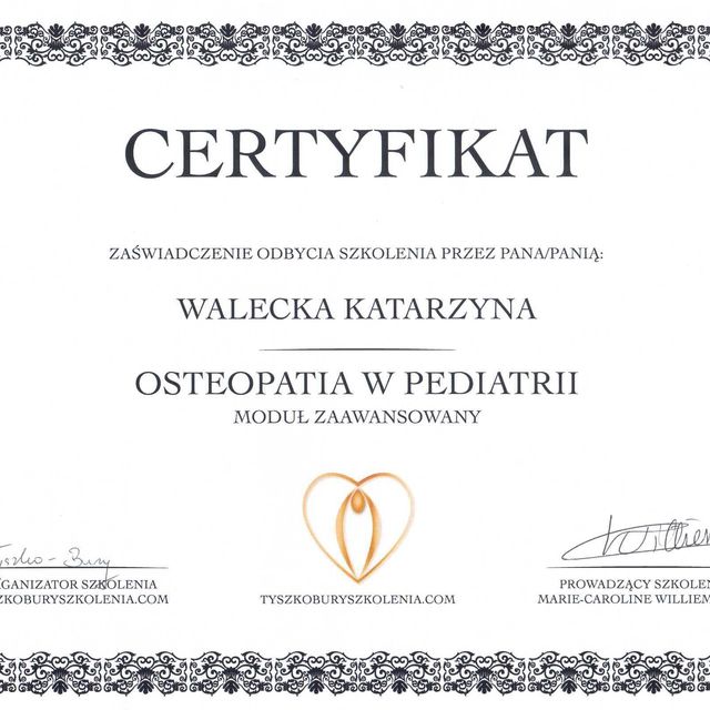 Powiększ obraz: certificate 6