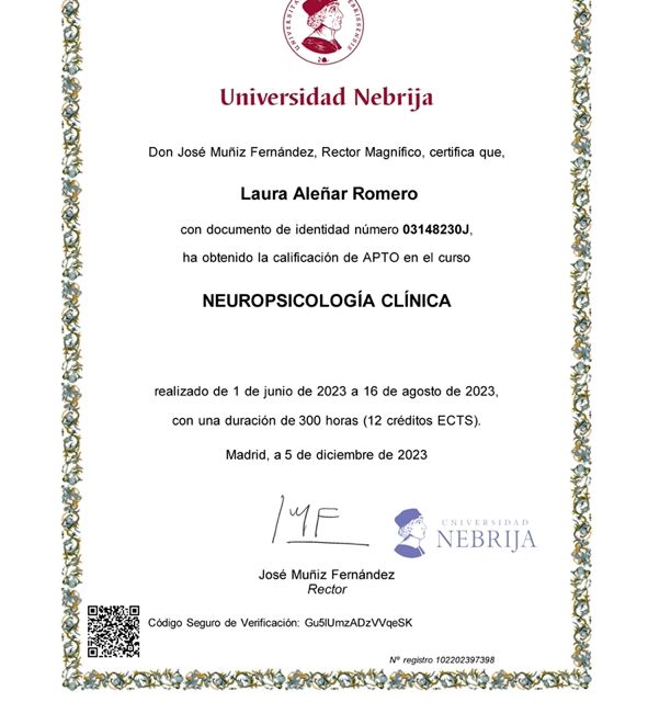 Acercar imagen: certificate 26