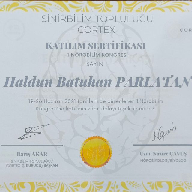 Resmi büyüt: certificate 11