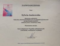 Powiększ obraz: certificate 3