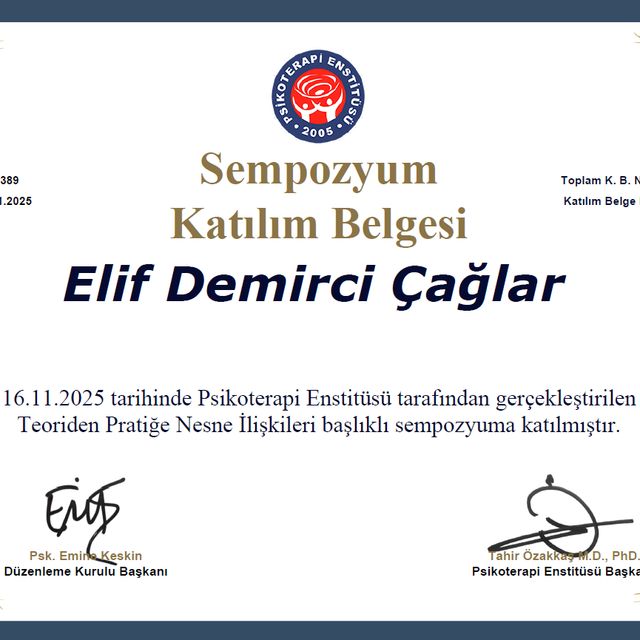 Resmi büyüt: certificate 15