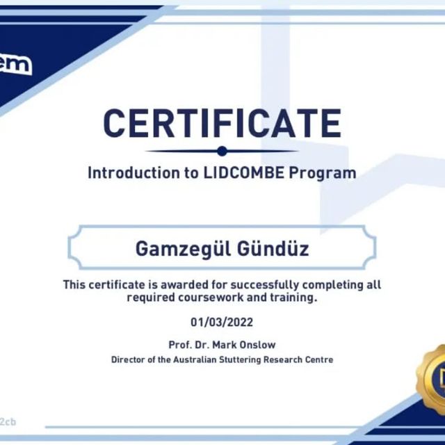 Resmi büyüt: certificate 2