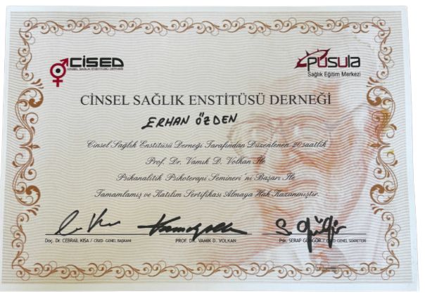 Resmi büyüt: certificate 10