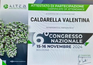 Ingrandire l'immagine: certificate 1