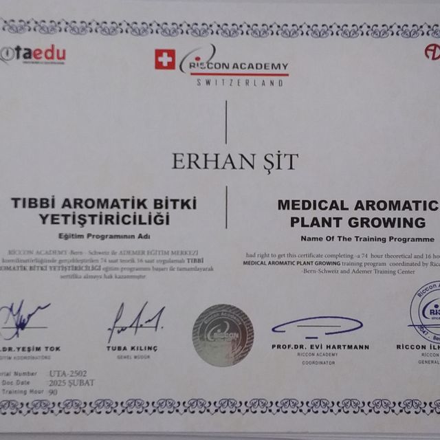 Resmi büyüt: certificate 6