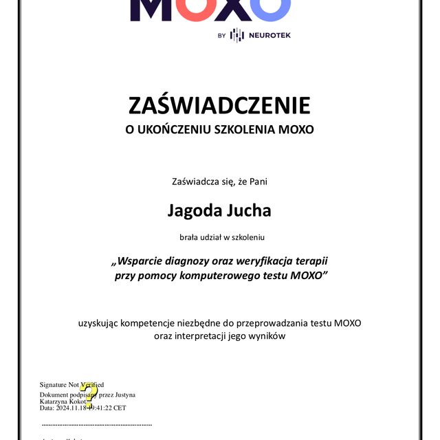 Powiększ obraz: certificate 2
