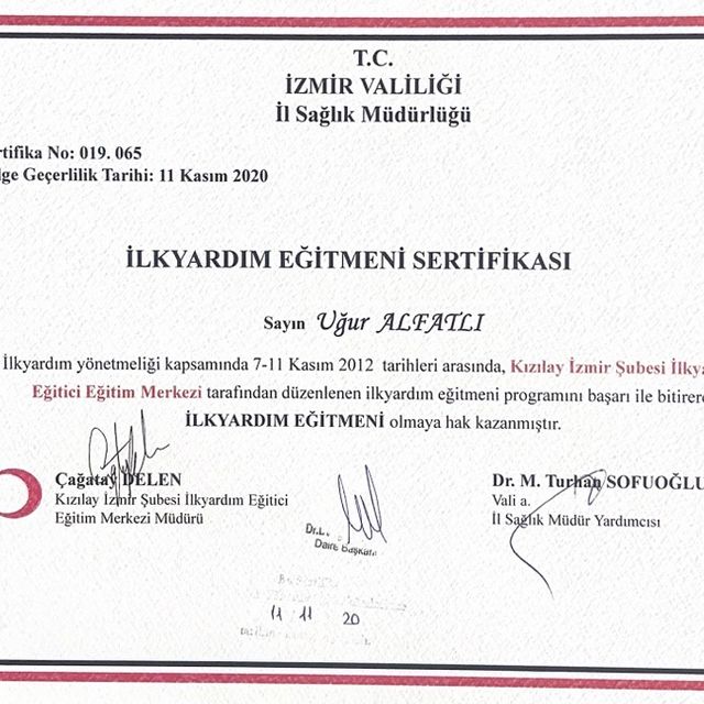 Resmi büyüt: certificate 13