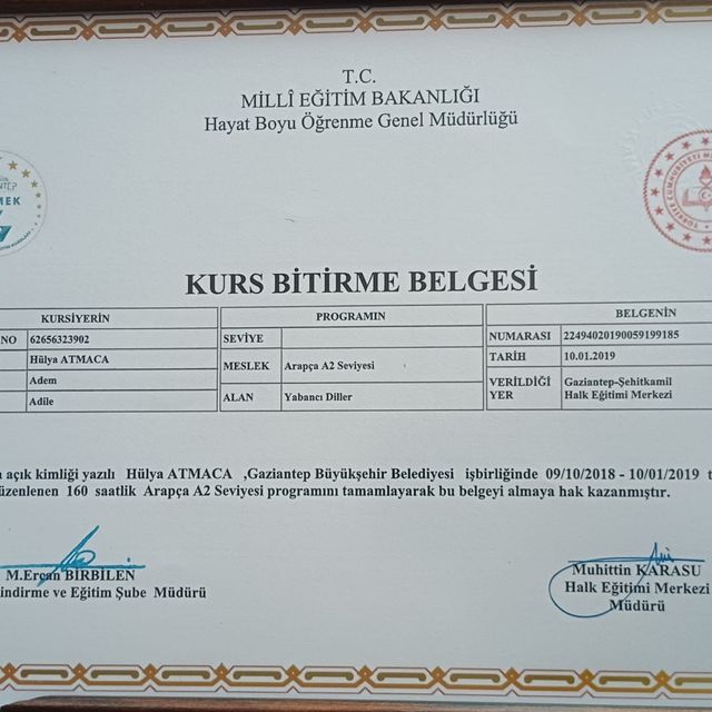 Resmi büyüt: certificate 4