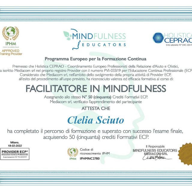 Ingrandire l'immagine: certificate 3