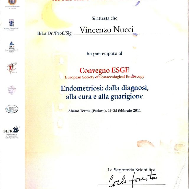 Ingrandire l'immagine: certificate 62