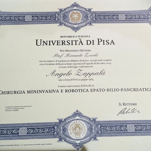 Ingrandire l'immagine: certificate 4