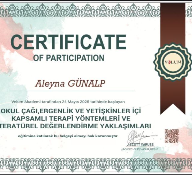 Resmi büyüt: certificate 1