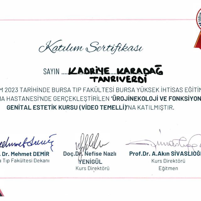 Resmi büyüt: certificate 25