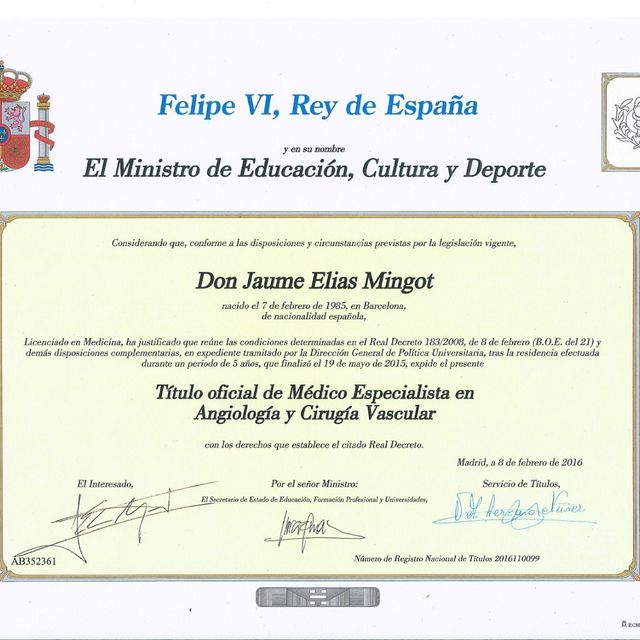 Acercar imagen: certificate 1