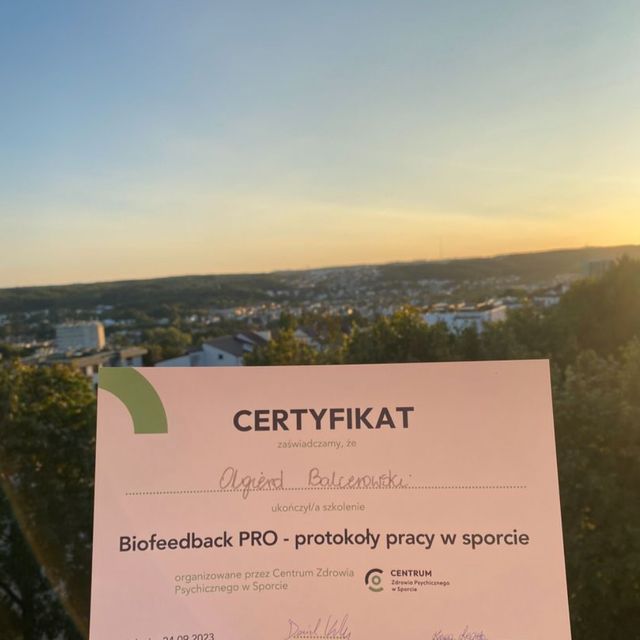 Powiększ obraz: certificate 2