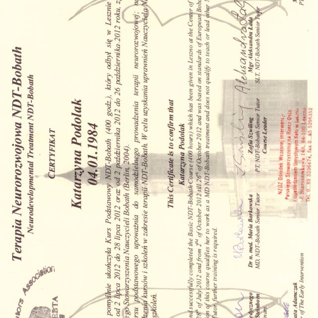 Powiększ obraz: certificate 1