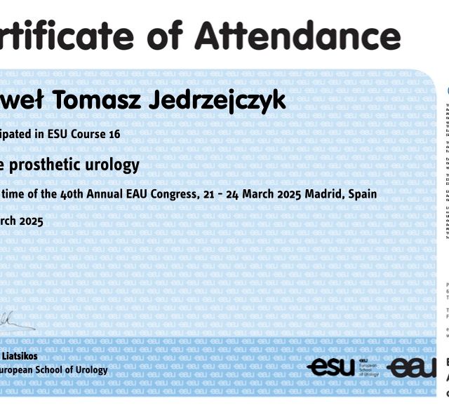 Powiększ obraz: certificate 2