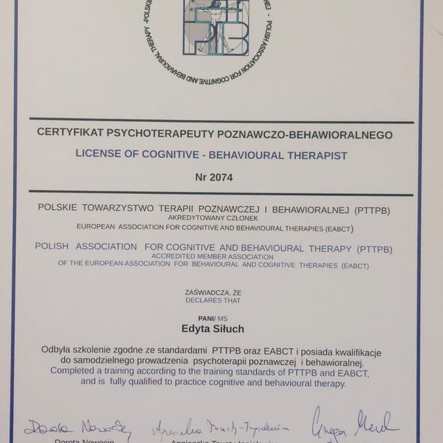 Powiększ obraz: certificate 1