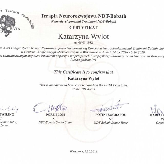 Powiększ obraz: certificate 1
