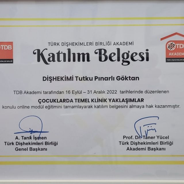 Resmi büyüt: certificate 2