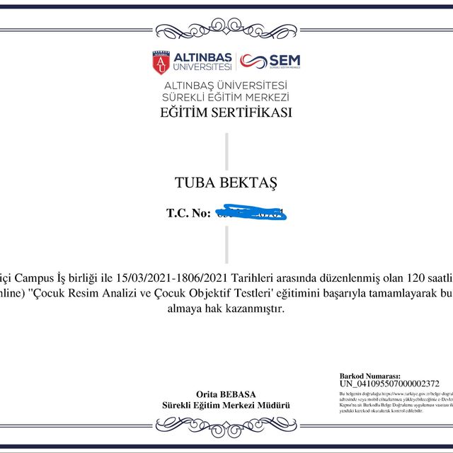 Resmi büyüt: certificate 14