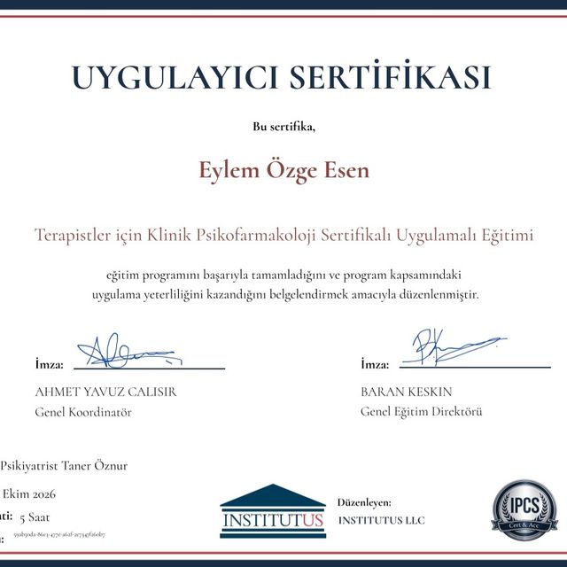 Resmi büyüt: certificate 17