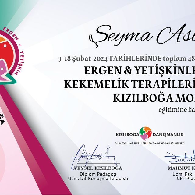 Resmi büyüt: certificate 3