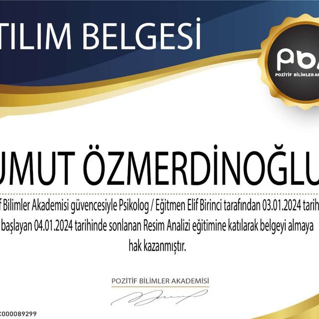 Resmi büyüt: certificate 7