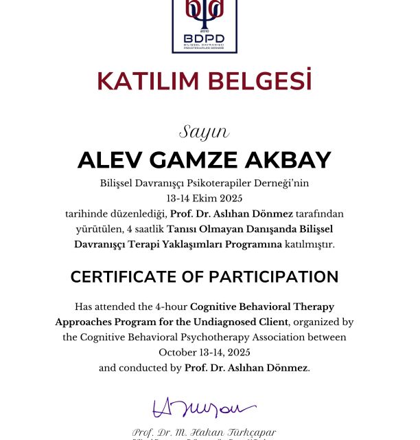 Resmi büyüt: certificate 29