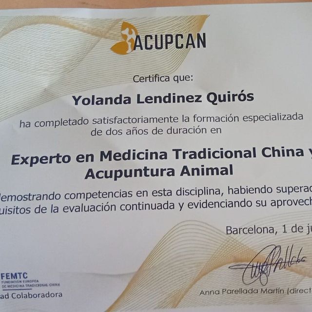 Acercar imagen: certificate 6