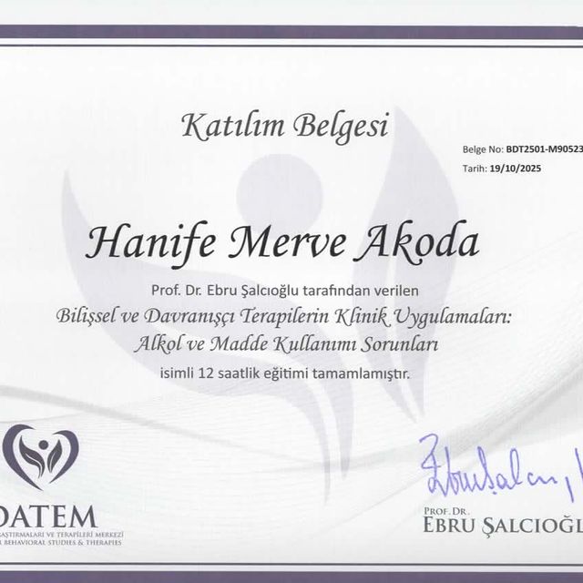 Resmi büyüt: certificate 17