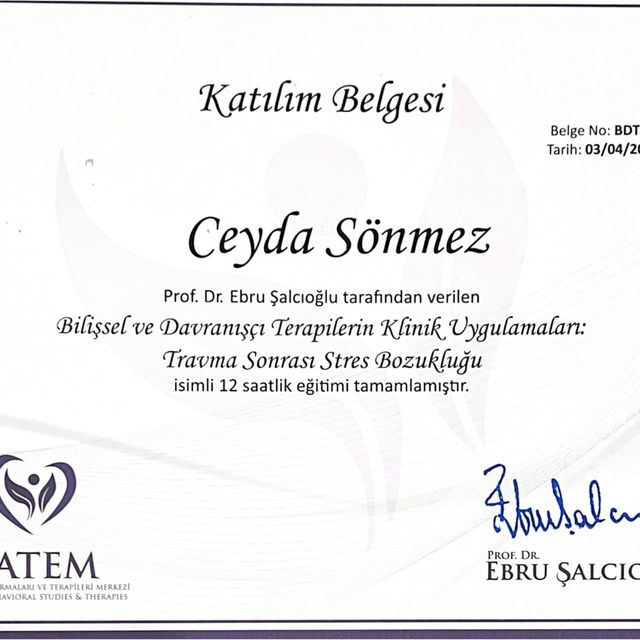 Resmi büyüt: certificate 7