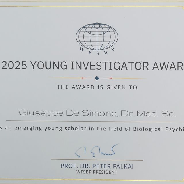 Ingrandire l'immagine: certificate 1