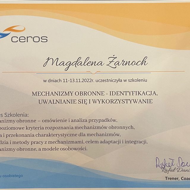 Powiększ obraz: certificate 8