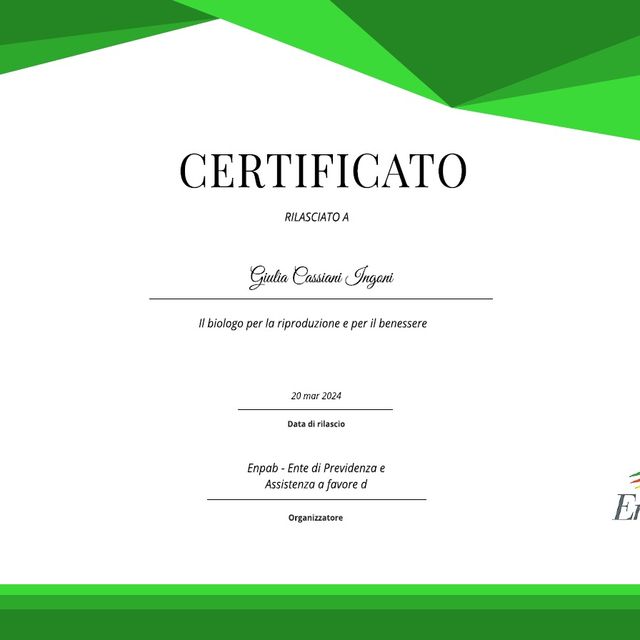 Ingrandire l'immagine: certificate 12