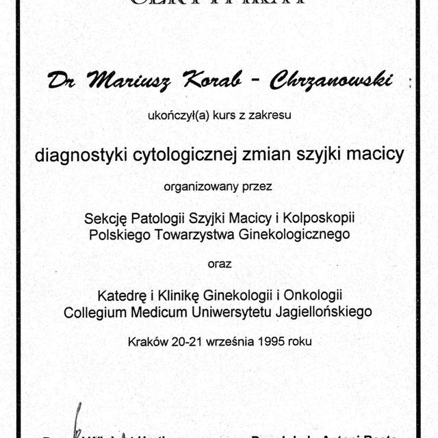 Powiększ obraz: certificate 2