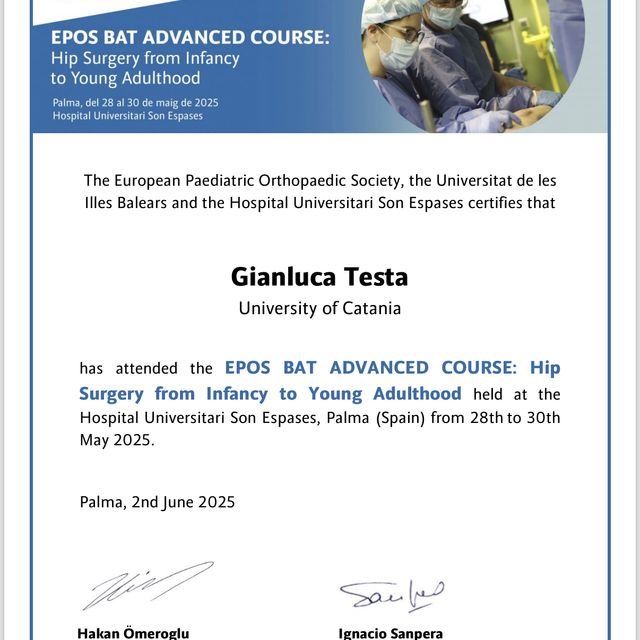 Ingrandire l'immagine: certificate 4