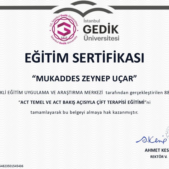 Resmi büyüt: certificate 1
