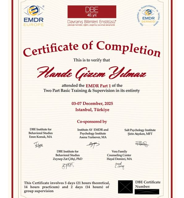 Resmi büyüt: certificate 1
