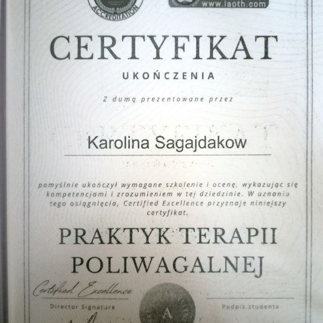Powiększ obraz: certificate 1