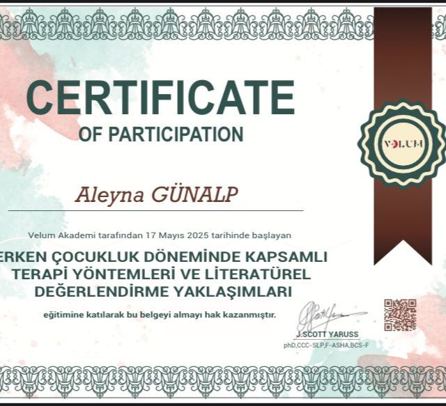 Resmi büyüt: certificate 2